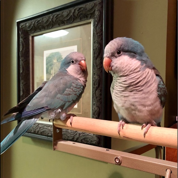 πNew Posh Ambassador as of 10/07/19π - Picture 4 of 8